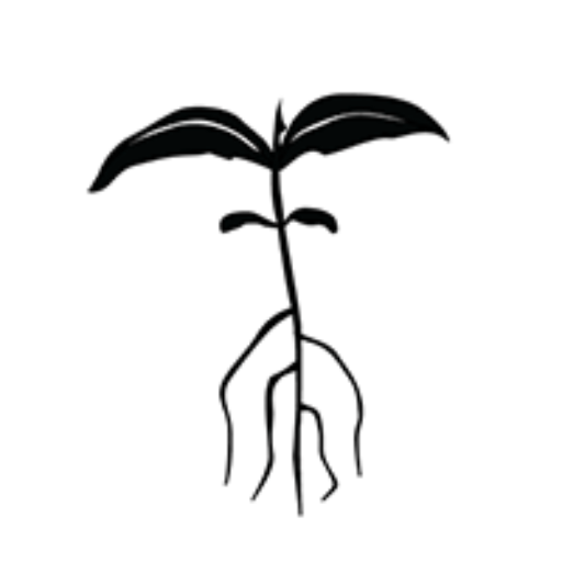 Seed Savers Connect