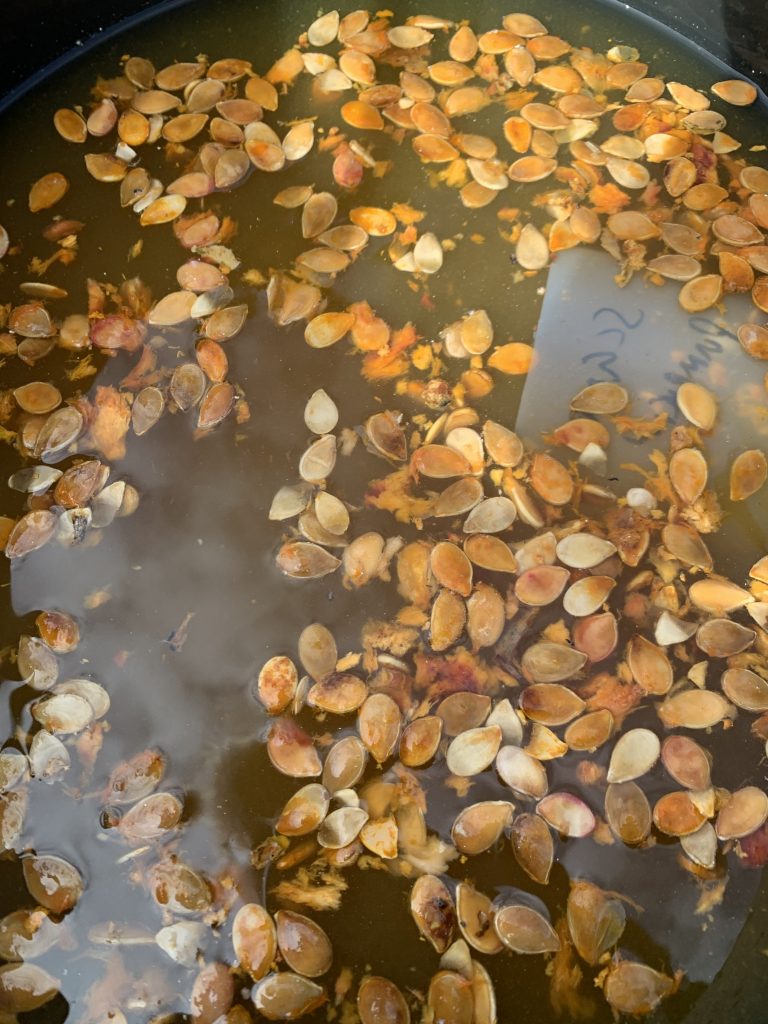 Wet Processing
