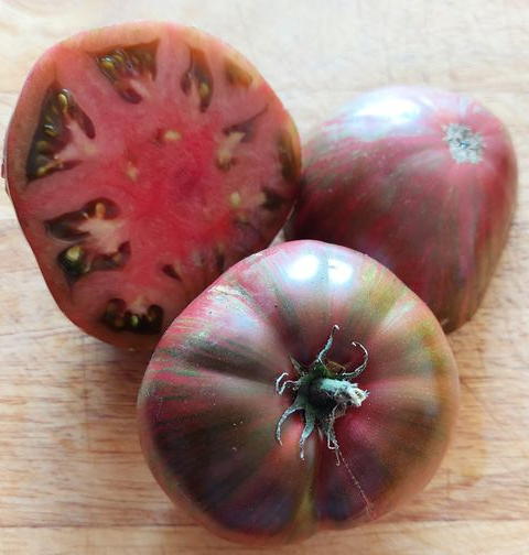 Fred's Tie Dye.  photo: Kath Williams