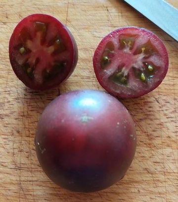 Gondwana Thunder. Photo: Kath Williams