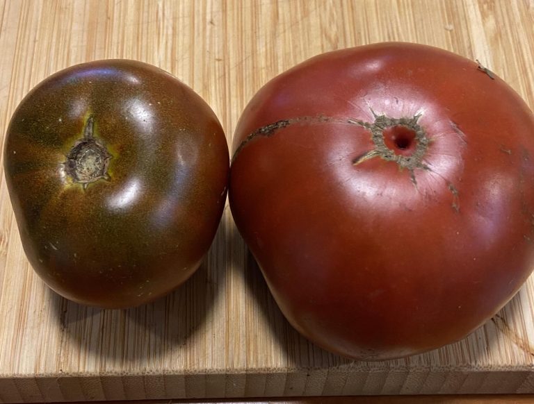 Maralinga photo: Natalie Kerr