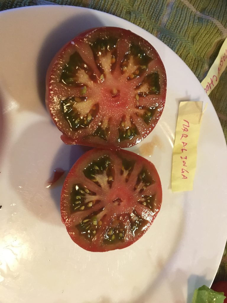 Maralinga photo: Joh Sheehan