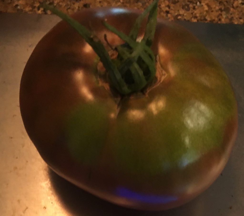 Tasmanian Chocolate. photo: Joh Sheehan