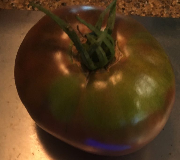 Tasmanian Chocolate. photo: Joh Sheehan