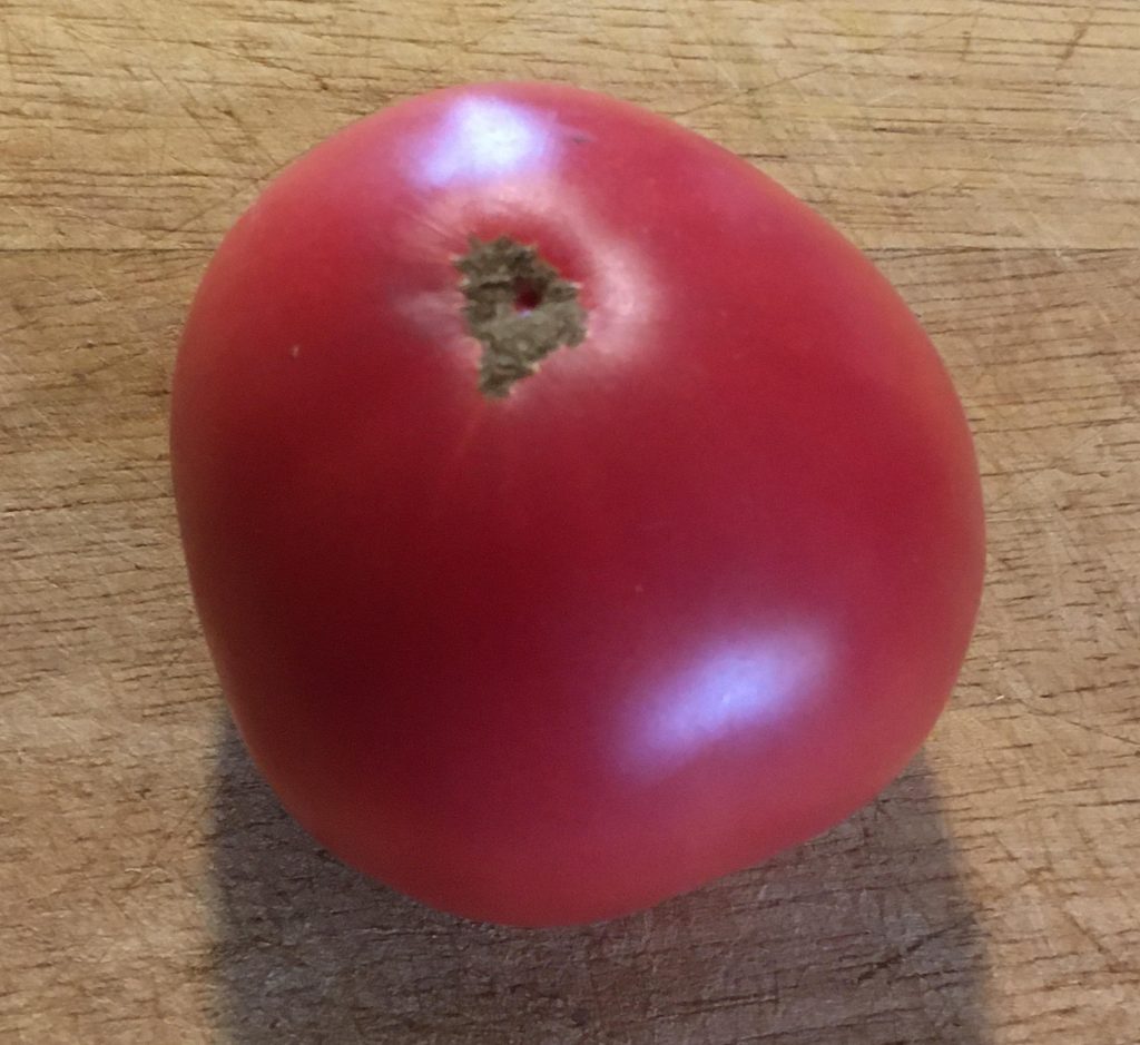 Tasty Wine.  photo: Joh Sheehan